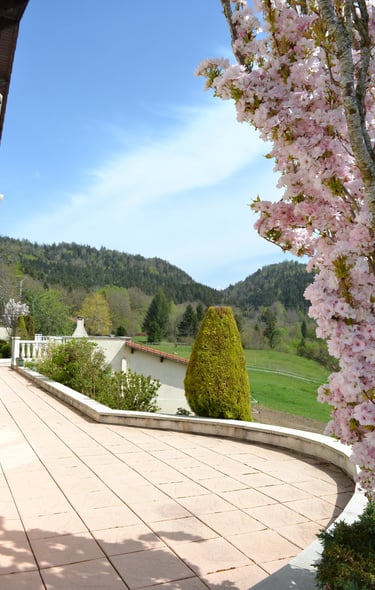 Terrasse côté ville (face Sud)