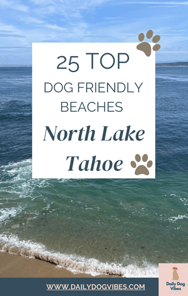 Best Dog Friendly Beaches North Lake Tahoe