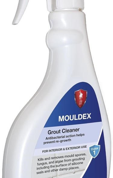 a mouldexor moulder spray bottle