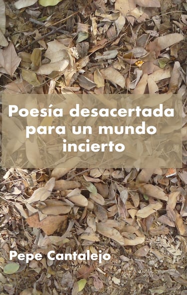 Poesía desacertada para un mundo incierto