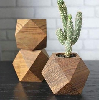 Small green cactus planted in a geometric wooden pot on a dark table surface.