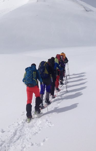 Grupo caminando en la nieve