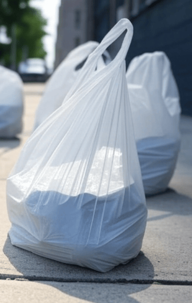 Sac plastique : Journée mondiale sans sacs plastique