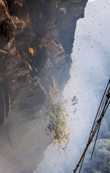 A honey hunter in protective gear climbs a rope ladder to harvest wild honeycomb from a steep cliff.