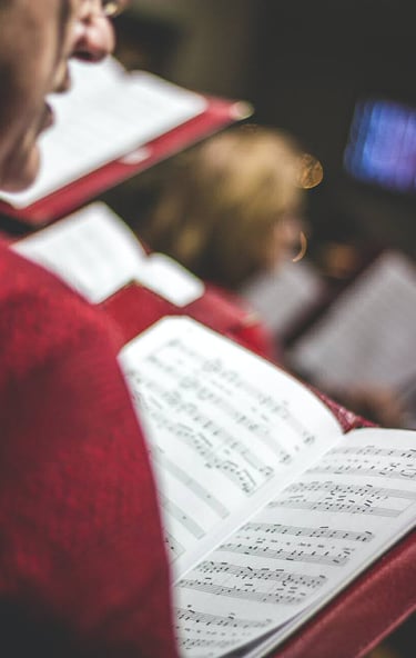 Cours particulier personnalisé