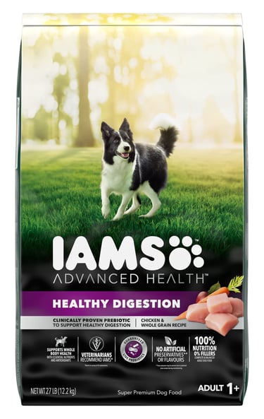 Dog Food for Diarrhea