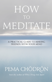 HOW TO MEDITATE A PRACTICAL GUIDE TO MAKING FRIENDS WITH YOUR MIND PEMA CHÖDRÖN.