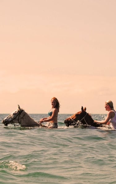 swimming with horse
