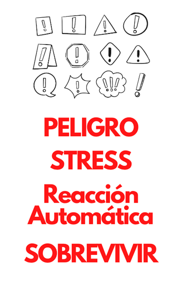 a poster with a picture of a person with a dog Martin PE / COACH