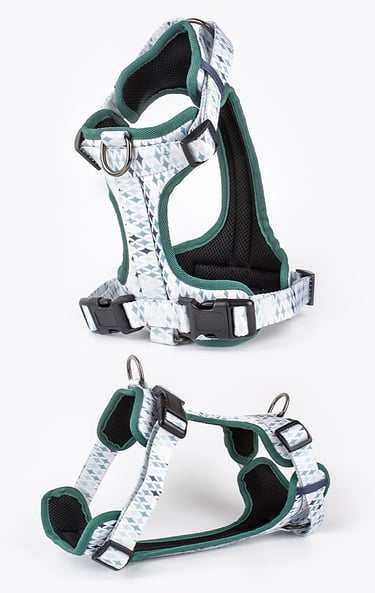 Dog Harness