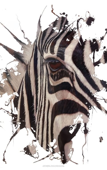 a zebra is shown with a splash of paint on it