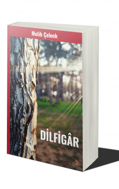 a book cover of Dilfigâr