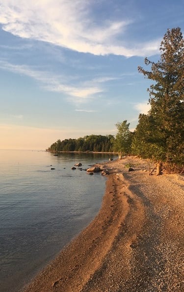 A forested beach observed while conducting an Environmental Impact Study near Port Elgin, Ontario.