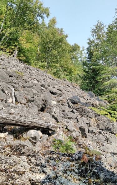 A steep and unstable slope, evaluated by Aster Environmental during a Site Evaluation Report.