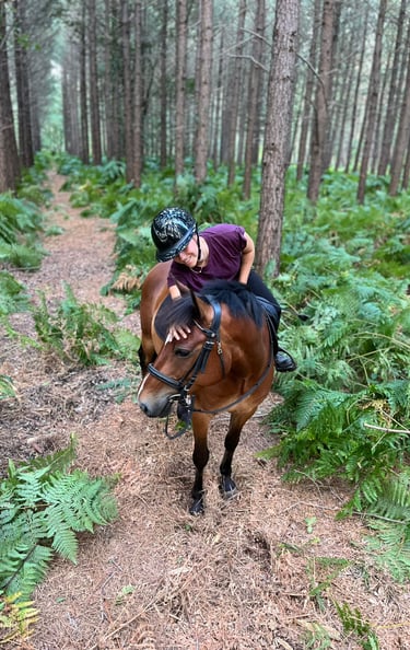 avis cliente garde-fou acolytes sellier