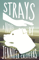 Cover of Strays by Jennifer Caloyeras