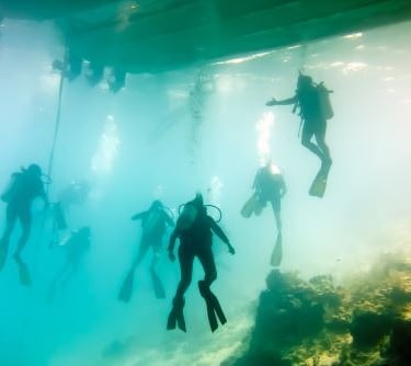 Bootstauchen Specialdive