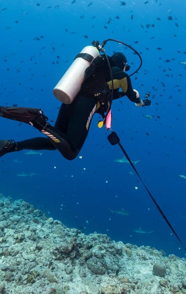 Deep Diving bei Specialdive