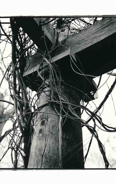 A wooden pilar in a garden in London