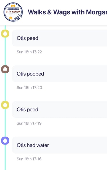 a screenshot of a report card in the Walkies app