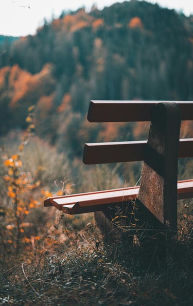 Holzbank in der Natur mit unscharfen Bäumen im Hintergrund im Herbst.