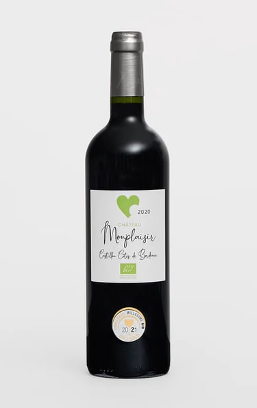 monplaisir castillon