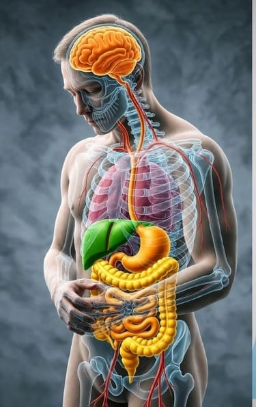 ✨ رحلة الصيام ليست فقط امتناعًا عن الطعام، بل عودة إلى نظام الجسد الطبيعي، حيث تتحرّك الطاقة بانسجام