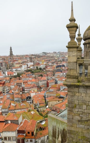 cattedrale-di-porto-vista-della-citta