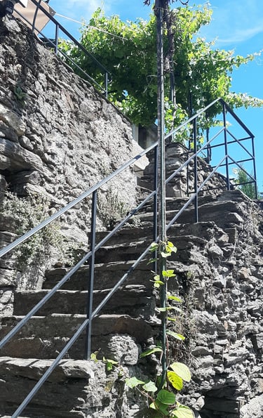 Escalier principal accédant à la terrasse du gîte la Petite Corse à Rosis dans l'Hérault