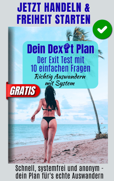 dexit online workbook exit reifenprüfung buch