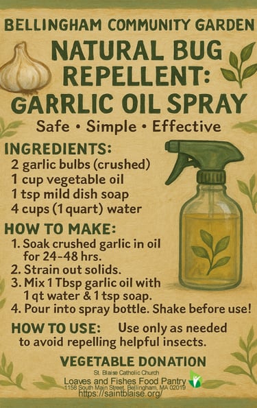 safe ~ simple ~ effective