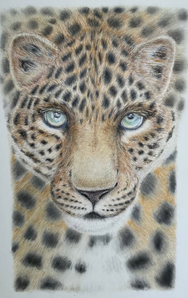 Leopard