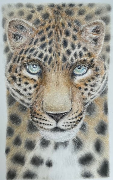 Leopard