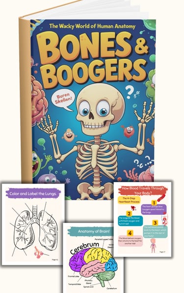 Human Anatomy Book