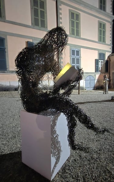 la lectrice de Wilfrid Bricourt recyclage fil de fer de vignes