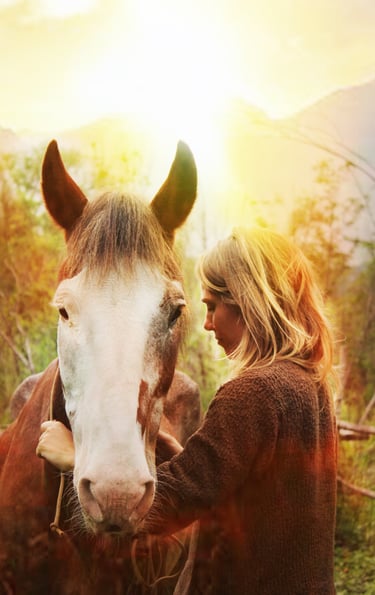 caballos cosmico sanación energética