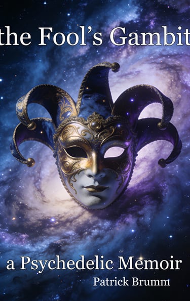 Cover Art for The Fool's Gambit book