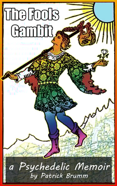 The Fool's Gambit book cover art