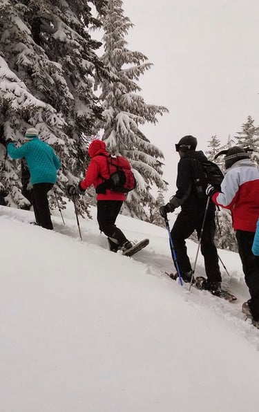 Grupo caminando con raquetas de nieve en la cerdanya
