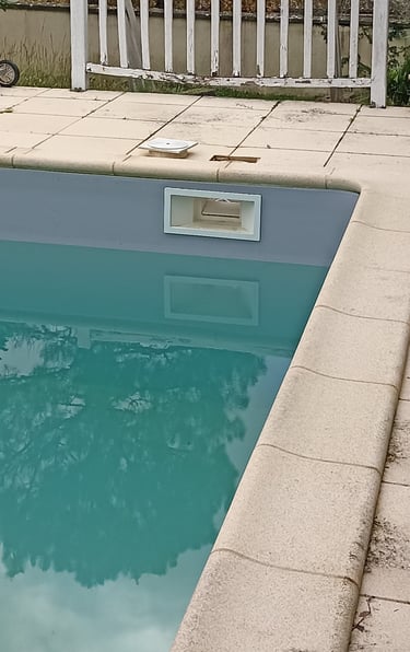 skimmer