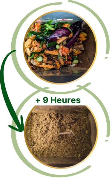 biodigestion