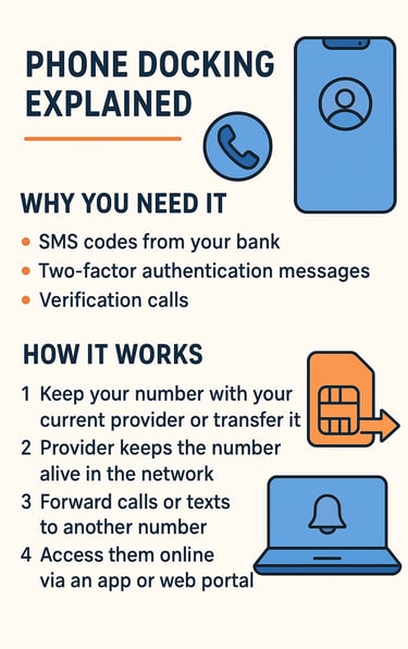 Phone Docking Infographic