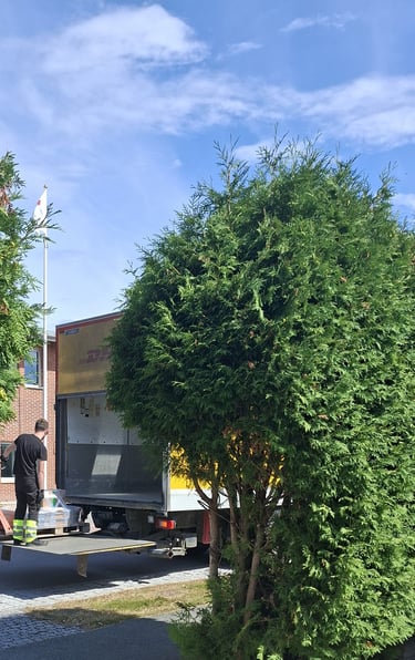A delivery driver picks up an order of barn paint and loads it into his truck.