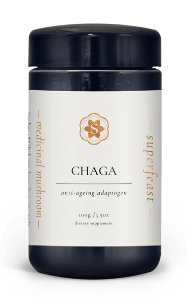 medicinal mushrooms chaga