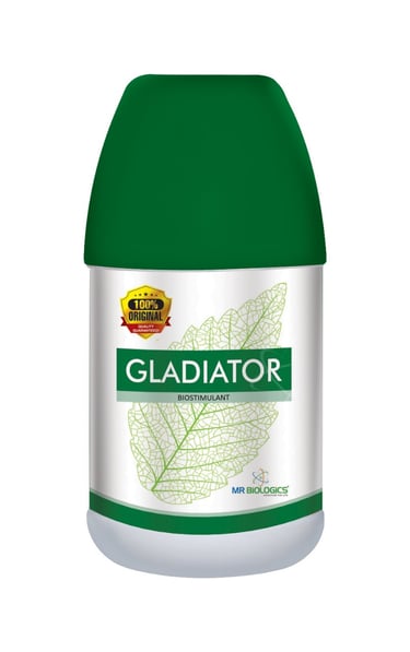 GLADIATOR