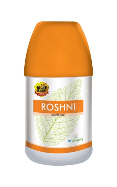ROSHNI