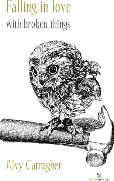 Book cover for Falling in Love with Broken Things by Alvy Carragher featuring a sketch of an owl on a hammer.