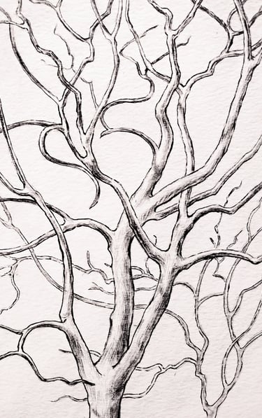 This is a graphite and ink drawing depicting tree branches in winter