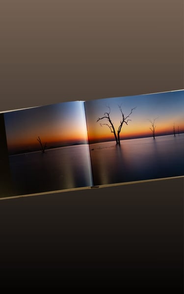 Panoramic spread from the Moments of Grace coffee table book showing trees standing in still water at sunset.