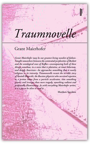 Traumnovelle front cover